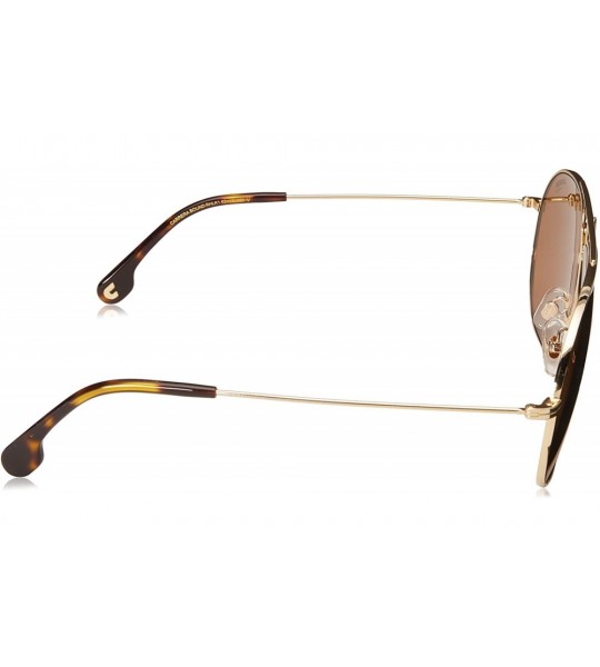 Sport CA Bound Aviator UniSex Adult Sunglasses - Gold Black/Brown Gold - CK18CK20ASQ $83.71