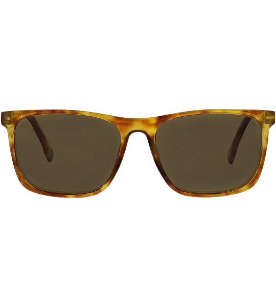 Square Highbrow Square Reading Sunglasses- Honey Tortoise- 56 mm + 1.5 - C118X006NNH $43.22