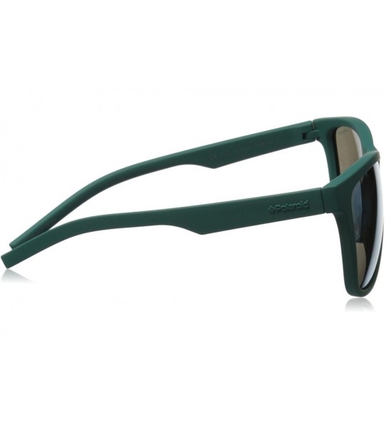 Square Pld6014/S Square Sunglasses - Green - CY12EZARZS1 $81.15