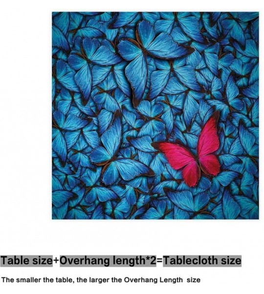 Rectangular Butterflies Lepidoptera Collection Unlikeness - Color05 - C5197RLC9UH $75.14