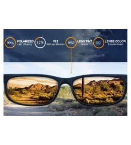 Sport Polarized IKON Replacement Lenses for SPY Lennox Sunglasses - - Emerald Green - C3189L3XDQI $58.94