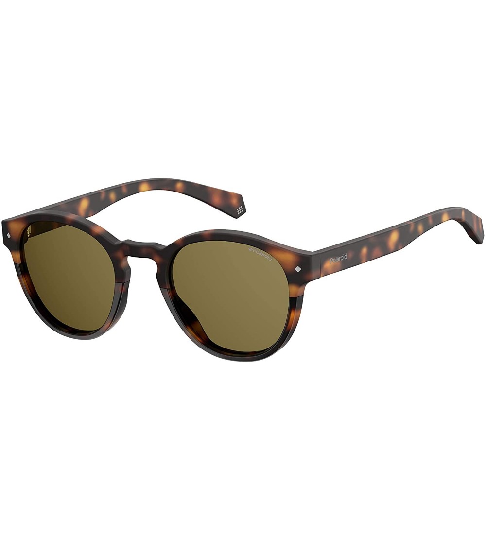 Round Pld6042/S Round Sunglasses - Dkhavana - CL180WTMZZ9 $77.71