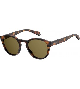 Round Pld6042/S Round Sunglasses - Dkhavana - CL180WTMZZ9 $77.71