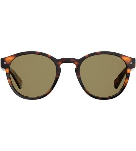 Round Pld6042/S Round Sunglasses - Dkhavana - CL180WTMZZ9 $77.71