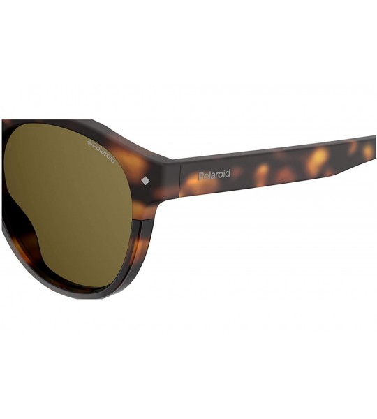 Round Pld6042/S Round Sunglasses - Dkhavana - CL180WTMZZ9 $77.71