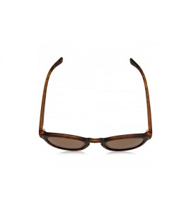 Round Pld6042/S Round Sunglasses - Dkhavana - CL180WTMZZ9 $77.71