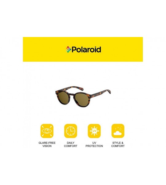 Round Pld6042/S Round Sunglasses - Dkhavana - CL180WTMZZ9 $77.71