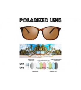 Round Polarized Horn Rimmed Sunglasses for Women Vintage Retro Round Lens - Gift Box Package - 2-tortoise - C118XNQQG9Z $22.90