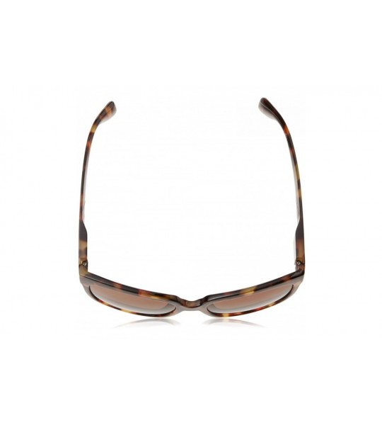 Square Palmetto Square Hideaway Bifocal Sunglasses - Tortoise - CM189SSLQOY $44.25