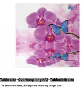 Square Butterflies Lepidoptera Collection Unlikeness - Color08 - CC197RLLIO0 $77.18